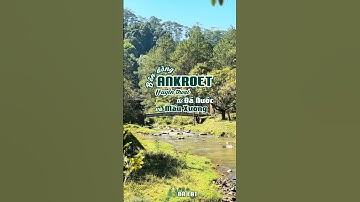 Bên Dòng Ankroet: Huyền Thoại Từ Đá, Nước Và Máu Xương #ankroet #hoiucdalat #lichsudalat #dalat