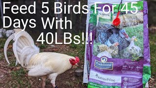 How much to feed Gamefowl ( Healthy budget challenge)