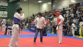 Taekwondo ko (Double-Roundhouse kick)