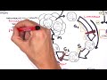 Oncogenetics Mechanism Of Cancer Tumor Suppressor Genes And Oncogenes 