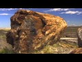 Petrified Forest Vacation Travel Video Guide