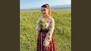 Hai cu sârba, Constantin!