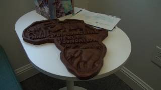 Famous Travis Hanson's Mission to Save the World Profile