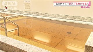 東京・有明に新たな温泉が登場　24時間利用も・・・(2020年10月23日)