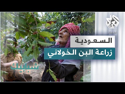 زراعة البن الخولاني مهنة متوارثة عبر الأجيال جنوبي السعودية