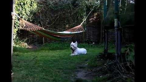 DIY Camera Slider timelapse test