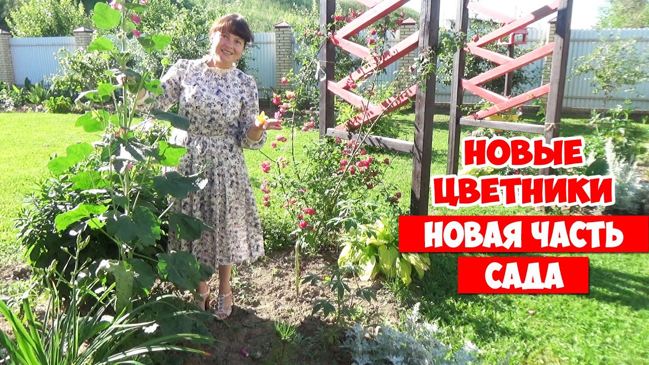 Супер отпуск на даче дзен последнее видео