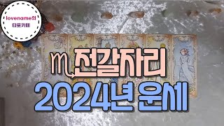 [타로/별자리운세] ♏전갈자리♏ 【2024년 운세】 2024년 1월~12월까지! 어떤일이 일어날까? 가볍게 …