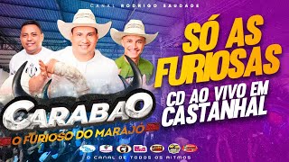 CARABAO AO VIVO EM CASTANHAL 22 04 2023 FFDJ TOM MÁXIMO