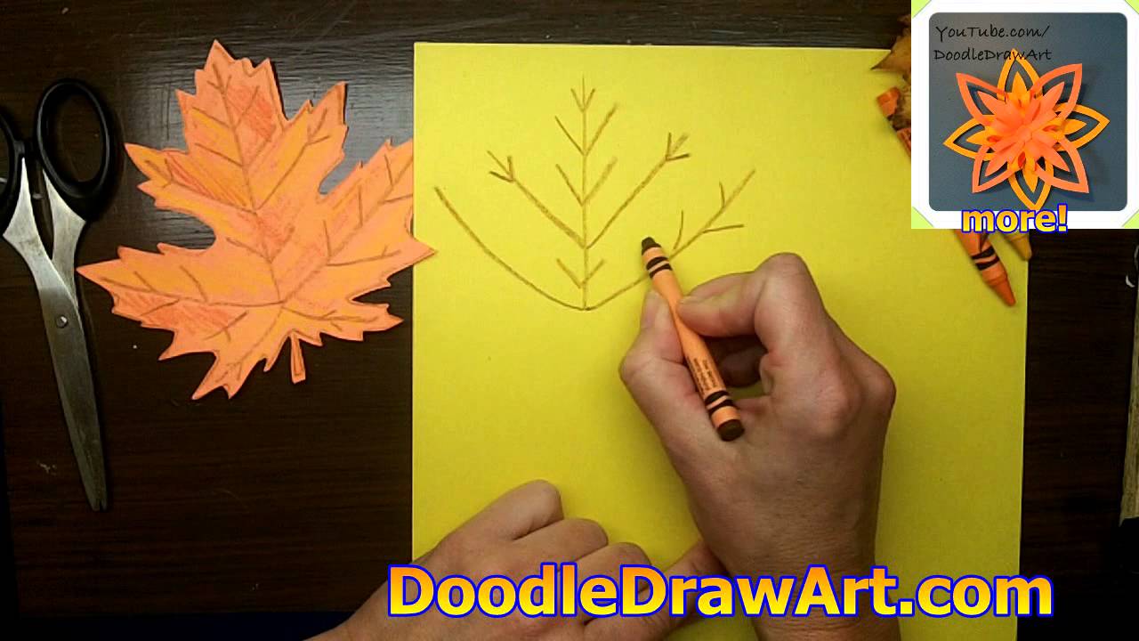 How to Draw Maple Leaves - Easy Leaf step by step drawing lesson - How to  Draw Step by Step Drawing Tutorials