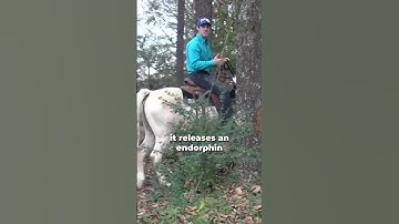 Speed Control On The Trail! Part 7! | The Horse Guru-Michael Gascon