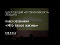 Павел Зеленихин - Что такое жизнь