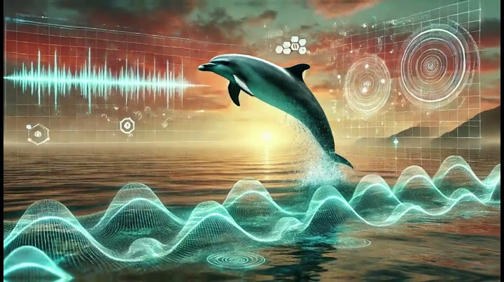 Des chercheurs en IA s’apprêtent à décoder la communication animale!