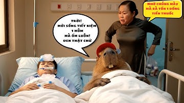 Chuỗi ngày báo bà của Capy - những ngày đầu đi học #capybara #vuive #giaitri #cuocsongcuacapy