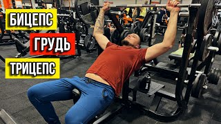 Upper Body Gym Workout for Muscle Growth
