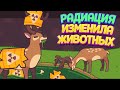 РАДИАЦИЯ ИЗМЕНИЛА ЖИВОТНЫХ ( Turnip Boy Commits Tax Evasion )