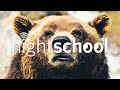 NightSchool: California Grizzlies