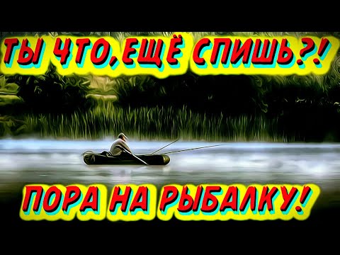 Рыбалка-лучший отдых от ежедневной суеты/Приколы на рыбалке/Я ржал до слёз/Трофейная рыбалка 2021/