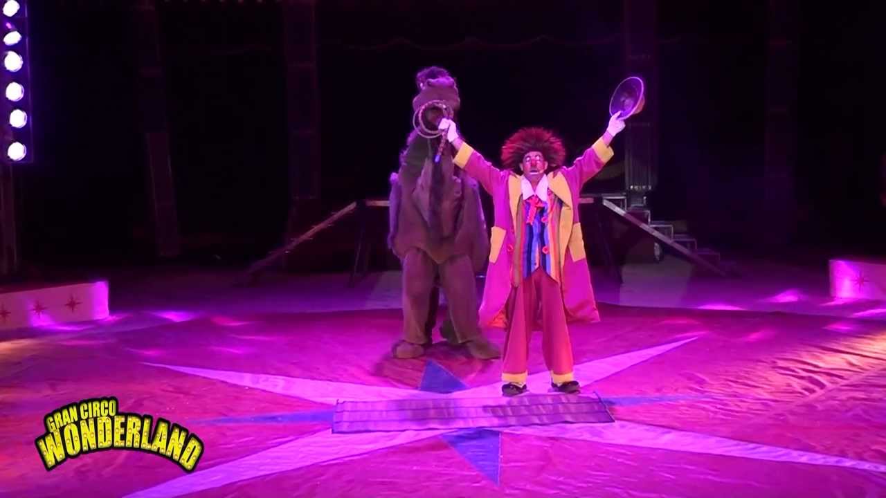 VIVE LA MAGIA DEL CIRCO WONDERLAND. Espectáculo 2014