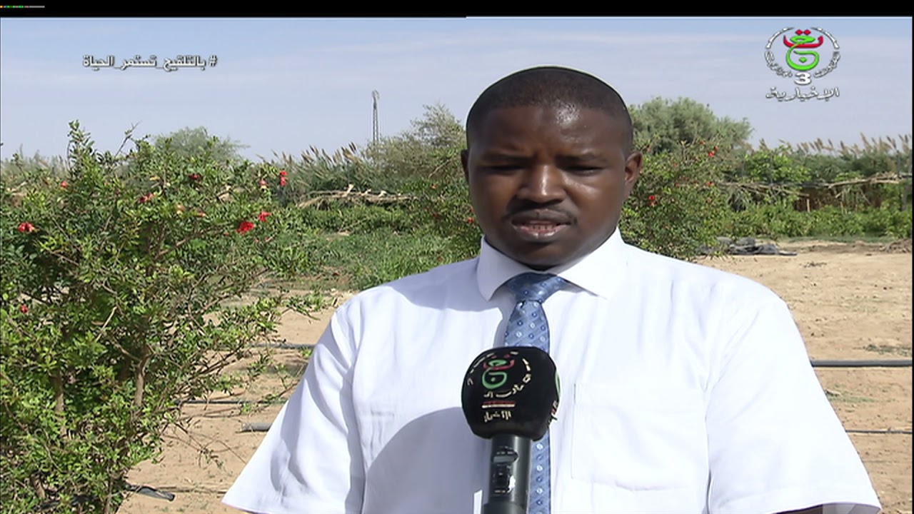 إن قزام / مؤهلات للاستثمار الفلاحي