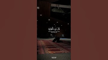 تلاوة هادئة نادرة للشيخ هزاع البلوشي تمسح الهموم | قرآن مهدئ للأعصاب والقلب #هزاع_البلوشي #short