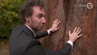 Randstedelingen Zorgden Voor Een Boost In De Veluwse Economie - Ridders Van Gelre