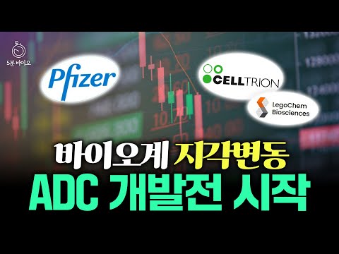 ADC 시장의 지각변동 온다 화이자 삼바 셀트리온도 주목하는 레고켐바이오의 중대 발표 5분 바이오 뉴스 