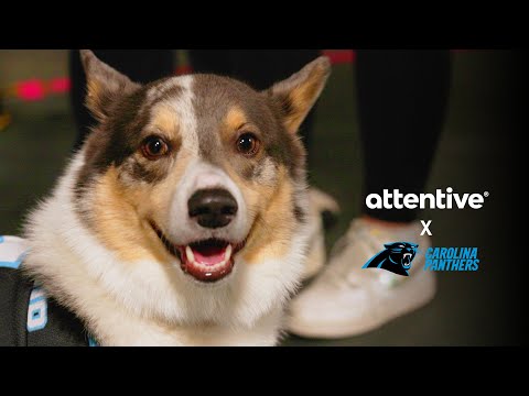 The Carolina Panthers Transform Fan Engagement with Personalized, Real-Time SMS Experiences - video from Attentive Mobile