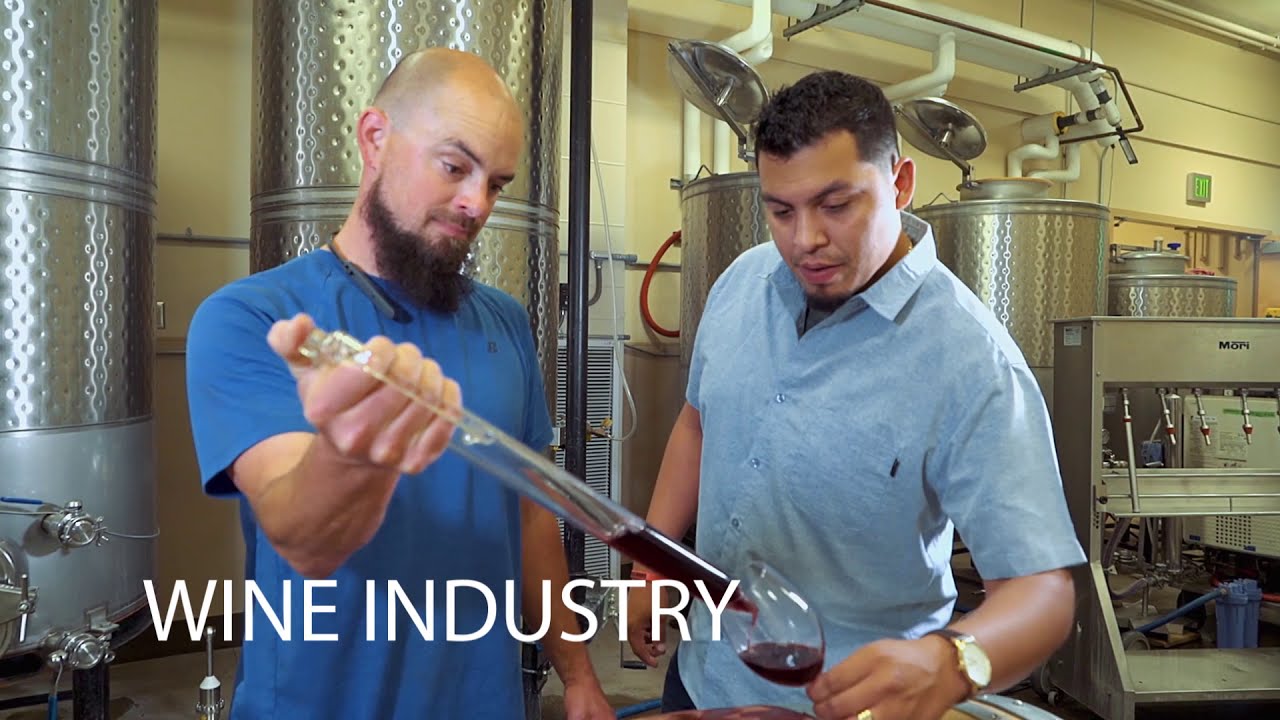 YVC Vineyard and Winery Technology Program