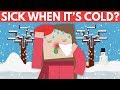 Why Do You Get Sick When It's Cold? - Dear Blocko #9