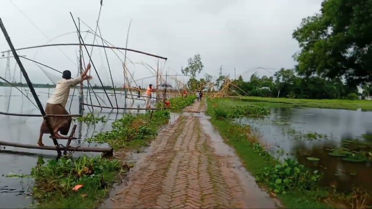 গ্রামের মানুষের কান্ড দেখুন।সবায় সারিবদ্ধ ভাবে কত সুন্দর ভাবে মাছ ধরে।# Fish#Vellage#গ্রাম#