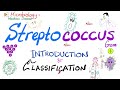 Streptococci  introduction and classification group a group b group d  microbiology 