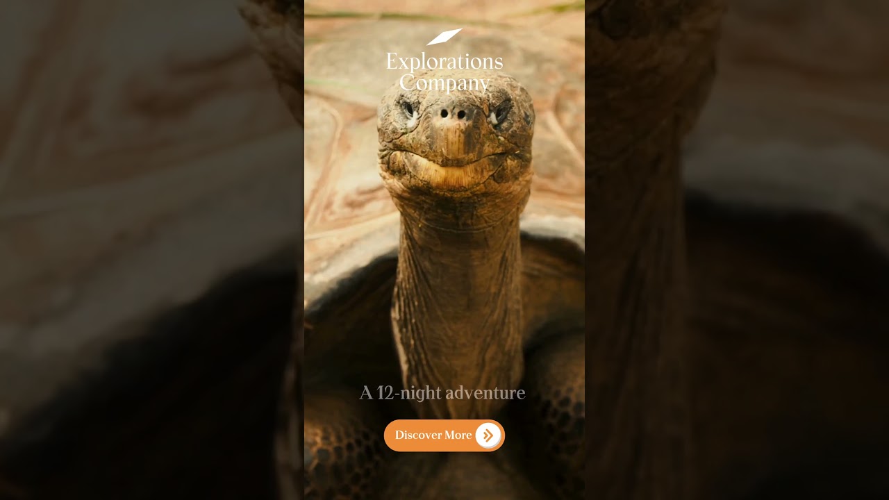 Galapagos & Ecuador Wildlife Tours |  Explorations Company 