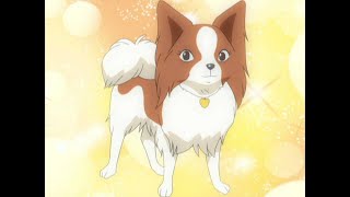 ワンワンセレプー それゆけ徹之進　第20話てつのしんプロデュースする