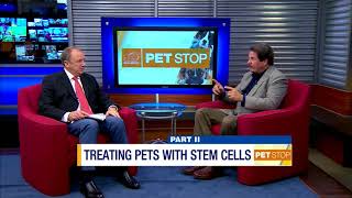 Dr Brian Voynick Host Of The Pet Stop On Stem Cells For Dogs