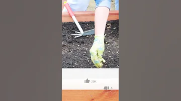 НИКОГДА НЕ САЖАЙТЕ СИДЕРАТЫ!!! ПОКА НЕ ПОСМОТРИТЕ ЭТО ВИДЕО