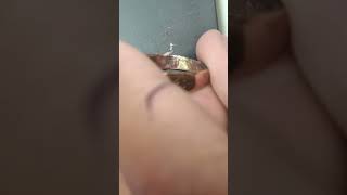 Esto Es Oro Rojo, Oro Antiguo, Oro Bajo Cuidado Con Este Tipo De Oro