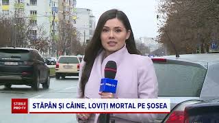 Polițist local ucis în București alături de câinele său de un motociclist