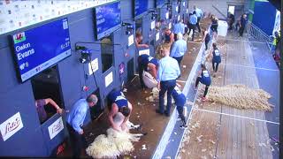 Sheep Shearing Royal Highland Show 2023 Open Final