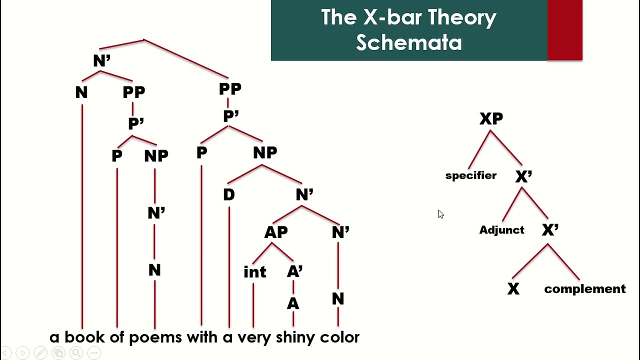 The X Bar Theory