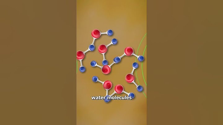Can A Microwave Heat Up A Plate? 🤔