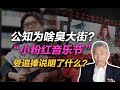 司马南：公知为啥臭大街？“小粉红音乐节”受追捧说明了什么？