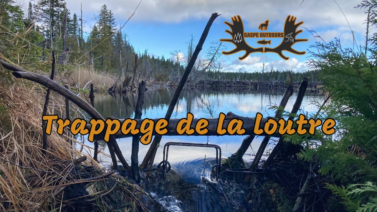 Trappage au Québec - Épisode 5 - Piégage de la loutre