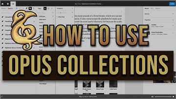 Get the Most Out of dScryb Collections – Essential Tips & Tricks