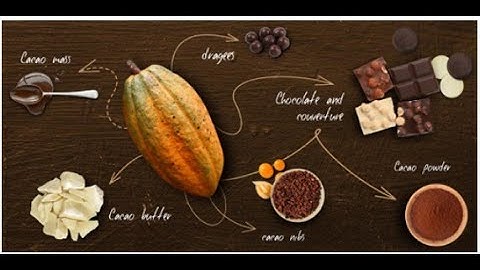 GG--The Testing Video For Continious Cocoa Bean Processing Flow from Clover