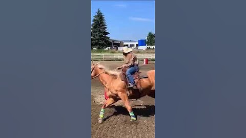 Let Me Tell You About Barrel Racing... #YouTubeShorts #Shorts