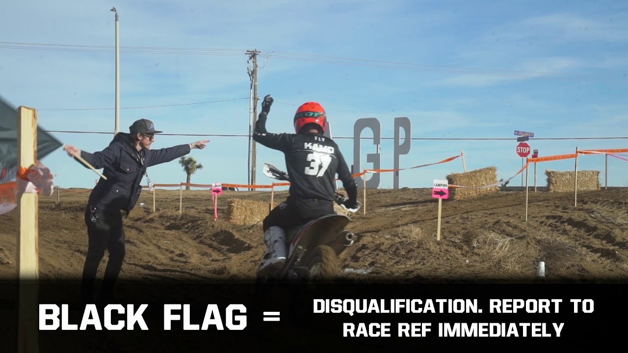 What Do Motorcycle Racing Flags Mean? Grand Prix Edition YouTube