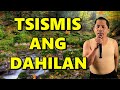 TSISMIS ANG DAHILAN (Parody of Ikaw Ang Dahilan) - Alexander Barut