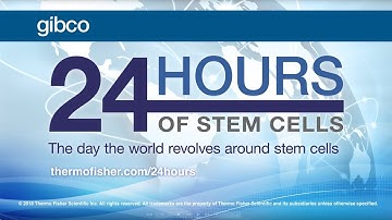 6th annual Gibco™ 24 Hours of Stem Cells™ virtual event
