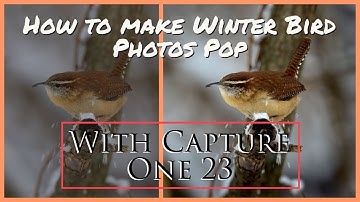 How To Make Winter Bird Photos Look AMAZING! (Capture One Pro 23 Tutorial)
